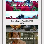 LUTs Cinematográficos para BMPCC 4K/6K | Correção de Cor BRAW & RAW | Looks para Casamentos e Filmes Indie
